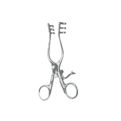 l_size_5695